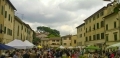 Cetona in Fiore 2015 (1)