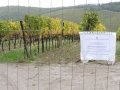 Gdf sequestro immobili Chianti (4)
