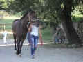 previsite agosto 03_800x600