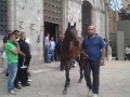 20140812_064407_800x600