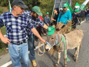 manifestazione-agricoltori-grano-2016