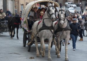 A cavallo sulla pietra serena 2016-94