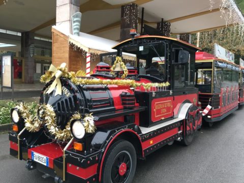 trenino Chianciano (1)