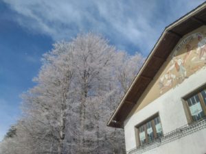 IMG-20190429-WA0007