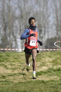 Campionati toscani cross lungo e juniores e allievi - Lucca - 2013
