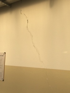 La crepa nel muro del Sarrocchi