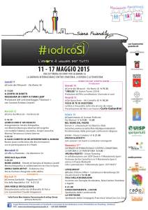 #iodicoSì programma