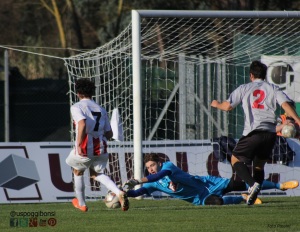 poggibonsi portiere francesco pacini