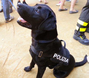 polizia controlli palio 5